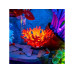 Light My Bricks 2.0 LED Licht Set LEGO 10366 Tropisches Aquarium