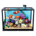 iDisplayit Acryl-Display LEGO 10366 Trop Aquarium 55 x 31 x 38 cm