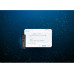 Kingston USB-Stick IronKey Locker+ 50 G2 256 GB