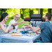 Campingaz Gasgrill BBQ 3 Series Woody L (CH)
