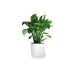 Lechuza Blumentopf Cube 40 Weiss Lechuza Blumentopf Cube 40 Weiss