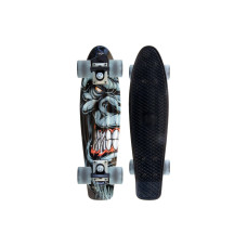 Slide Cruiser Kong 22