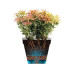 Elho Pflanzentopf Loft Urban Rund Hoch 35 cm Schwarz