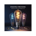 Govee Edison Bulb ST19 E27