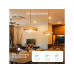 Govee Smart White Ambience E27 Bulb Govee Smart White Ambience E27 Bulb