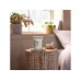 Woodwick Duftkerze Tonka & Almond Milk Large Jar