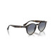 Ray-Ban Sonnenbrille RB2180 Light Havana Ray-Ban Sonnenbrille RB2180 Light Havana