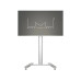 Multibrackets TV-Trolley M Public Display Stand 180 HD Single 55-80 Zoll