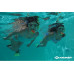 Schildkröt Funsports Schildkröt Junior Schnorchel Set Bermuda Grösse L/XL