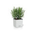Lechuza Blumentopf Cube Color 14 Weiss Lechuza Blumentopf Cube Color 14 Weiss