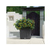 Lechuza Blumentopf Cube Cottage 40 Granit