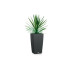 Lechuza Blumentopf Cubico Cottage 40 Anthrazit