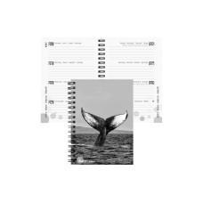 Biella Schulagenda mydiary Wire-O 2026/27 Whale, 12 x 16.5 cm Biella Schulagenda mydiary Wire-O 2026/27 Whale, 12 x 16.5 cm