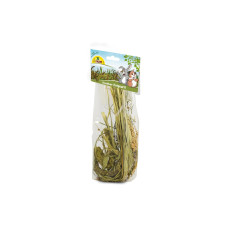 JR Farm Knabber-Potpourri Nagersnack Knabbermix 50 g