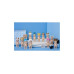 Sonny Angel Animal Series 4 Sammelfigur Assortiert