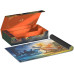 Ultimate Guard Kartenbox Omnihive 1000+ MTG Lorwyn Eclipsed Green Mythic Ultimate Guard Kartenbox Omnihive 1000+ MTG Lorwyn Eclipsed Green Mythic
