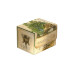 Ultimate Guard Kartenbox Sidewinder 100+ MTG Avatar The Lion-Turtle Ultimate Guard Kartenbox Sidewinder 100+ MTG Avatar The Lion-Turtle