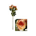 CHALET Blumenstängel Spray Rose 48 cm, Lachs