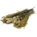 JR Farm Knabber-Potpourri Nagersnack Knabbermix 50 g