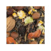JR Farm Eichhörnchen-Schmaus 0.6 kg JR Farm Eichhörnchen-Schmaus 0.6 kg