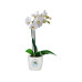 Elho Blumentopf Brussels Orchidee 2.2 l, Transparent
