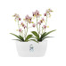 Elho Blumentopf Brussels Orchidee DUO 2.8 l, Weiss