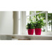 Elho Blumentopf Brussels Diamond rund 1.4 l, Lovely Red