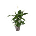 Elho Blumentopf Brussels Diamond rund 1.4 l, Oyster Pearl