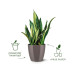 Elho Blumentopf Brussels Diamond rund 3.3 l, Oyster Pearl