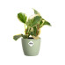 Elho Blumentopf Brussels mini, rund, 100 ml, Sorbet Grün