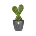 Elho Blumentopf Brussels mini, rund, 100 ml, Anthrazit