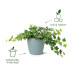 Elho Blumentopf Brussels rund 2.2 l, Weiss