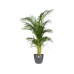 Elho Blumentopf Brussels rund 6.2 l, Anthrazit