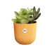 Elho Blumentopf Jazz mini 0.2 l, Amber Gelb