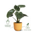 Elho Blumentopf Jazz 3.7 l, Amber Gelb