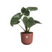 Elho Blumentopf Jazz 9.8 l, Toskanisches rot