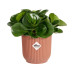 Elho Blumentopf Vibes Fold mini 0.2 l, Zartrosa
