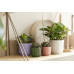 Elho Blumentopf Vibes Fold mini 0.2 l, Zartes Lila