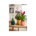 Elho Blumentopf Vibes Fold 1.6 l, Zartrosa