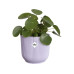 Elho Blumentopf Vibes Fold 1.6 l, Zartes Lila