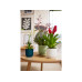 Elho Blumentopf Vibes Fold 1.6 l, Sorbet Grün