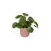 Elho Blumentopf Vibes Fold 2.4 l, Zartrosa