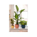 Elho Blumentopf Vibes Fold 2.4 l, Zartrosa