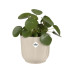 Elho Blumentopf Vibes Fold 2.4 l, Leinenweiss