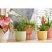 Elho Blumentopf Vibes Fold 3.6 l, Sorbet Grün
