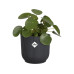 Elho Blumentopf Vibes Fold 3.6 l, Anthrazit