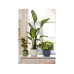 Elho Blumentopf Vibes Fold 3.6 l, Anthrazit