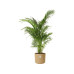 Elho Blumentopf B. for soft 2.5 l, Goldener Sand