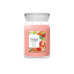 Yankee Candle Signature Duftkerze White Strawberry Bellini Signature Large Jar