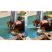 Dremel Multifunktionswerkzeug-Set 8150 7.2 V Multifunktionswerkzeug
